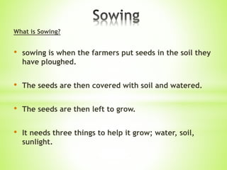What is Sowing?
• sowing is when the farmers put seeds in the soil they
have ploughed.
• The seeds are then covered with soil and watered.
• The seeds are then left to grow.
• It needs three things to help it grow; water, soil,
sunlight.
 