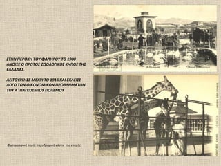 ΣΤΗΝ ΠΕΡΟΧΗ ΤΟΥ ΦΑΛΗΡΟΥ ΤΟ 1900
ΑΝΟΙΞΕ Ο ΠΡΩΤΟΣ ΖΩΟΛΟΓΙΚΟΣ ΚΗΠΟΣ ΤΗΣ
ΕΛΛΑΔΑΣ.

ΛΕΙΤΟΥΡΓΗΣΕ ΜΕΧΡΙ ΤΟ 1916 ΚΑΙ ΕΚΛΕΙΣΕ
ΛΟΓΩ ΤΩΝ ΟΙΚΟΝΟΜΙΚΩΝ ΠΡΟΒΛΗΜΑΤΩΝ
ΤΟΥ Α΄ ΠΑΓΚΟΣΜΙΟΥ ΠΟΛΕΜΟΥ




                                                  1902


Φωτογραφική πηγή : ταχυδρομική κάρτα της εποχής
 