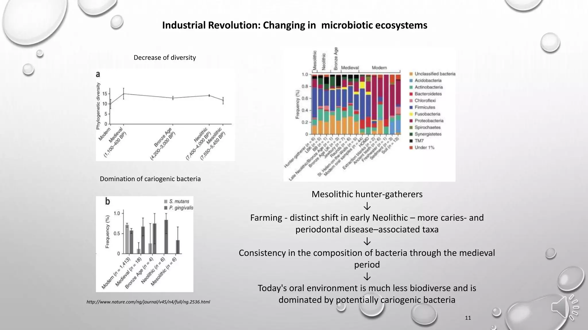 Industrial Revolution: Changing in microbiotic ecosystems
http://www.nature.com/ng/journal/v45/n4/full/ng.2536.html
Mesolithic hunter-gatherers
↓
Farming - distinct shift in early Neolithic – more caries- and
periodontal disease–associated taxa
↓
Consistency in the composition of bacteria through the medieval
period
↓
Today's oral environment is much less biodiverse and is
dominated by potentially cariogenic bacteria
11
Decrease of diversity
Domination of cariogenic bacteria
 