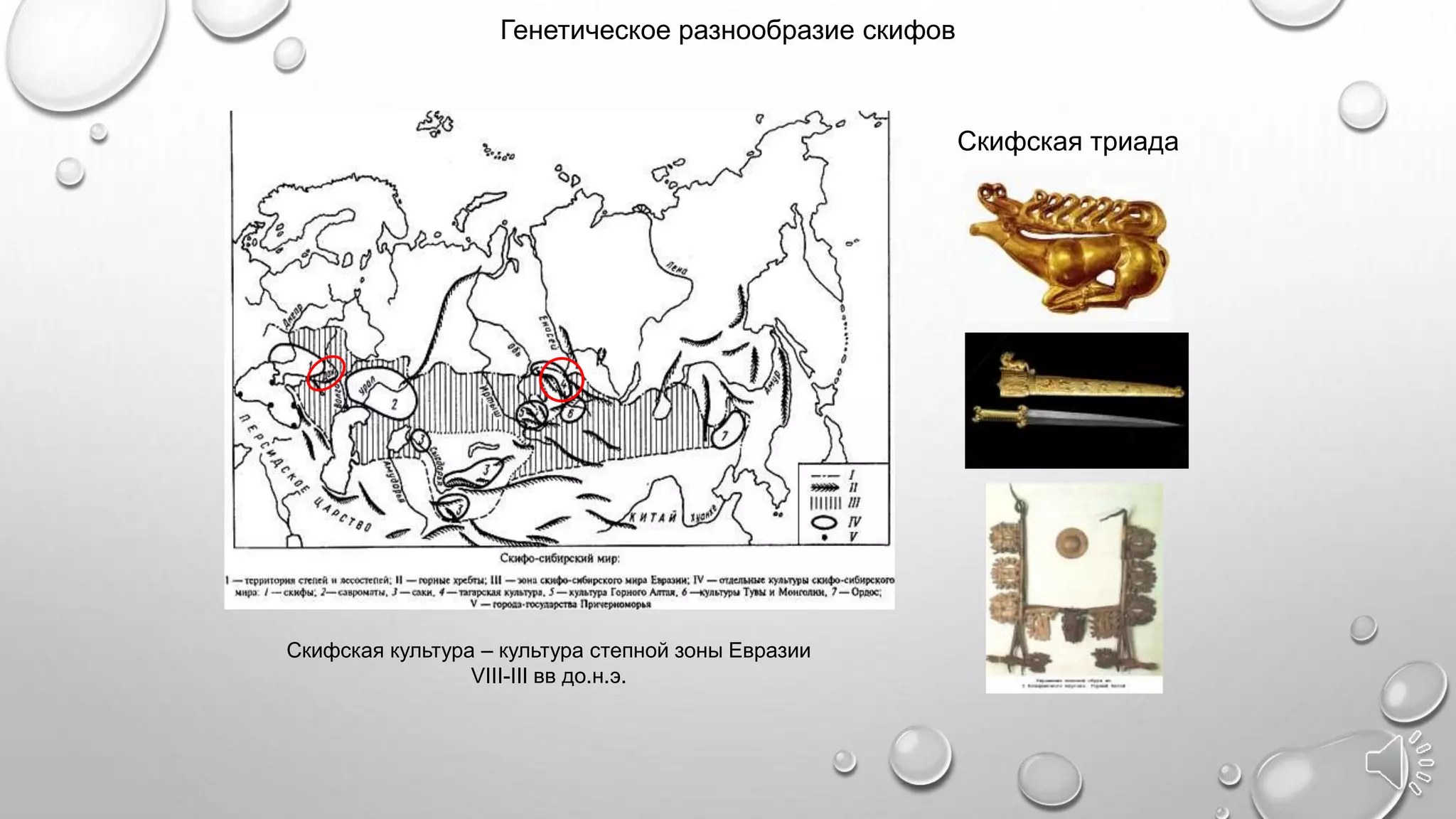 Скифская культура – культура степной зоны Евразии
VIII-III вв до.н.э.
Скифская триада
Генетическое разнообразие скифов
 