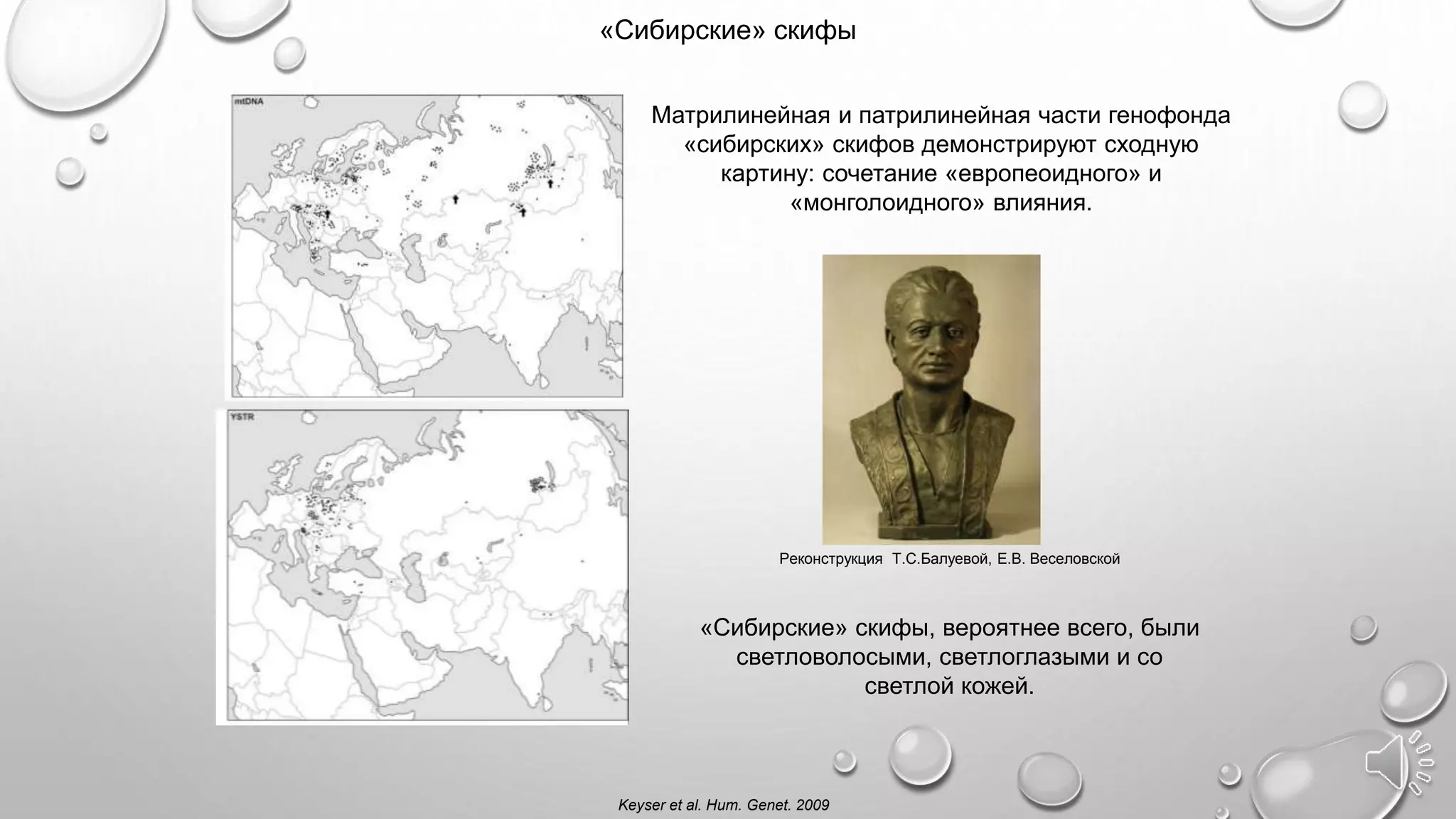 «Сибирские» скифы
Keyser et al. Hum. Genet. 2009
Матрилинейная и патрилинейная части генофонда
«сибирских» скифов демонстрируют сходную
картину: сочетание «европеоидного» и
«монголоидного» влияния.
«Сибирские» скифы, вероятнее всего, были
светловолосыми, светлоглазыми и со
светлой кожей.
Реконструкция Т.С.Балуевой, Е.В. Веселовской
 