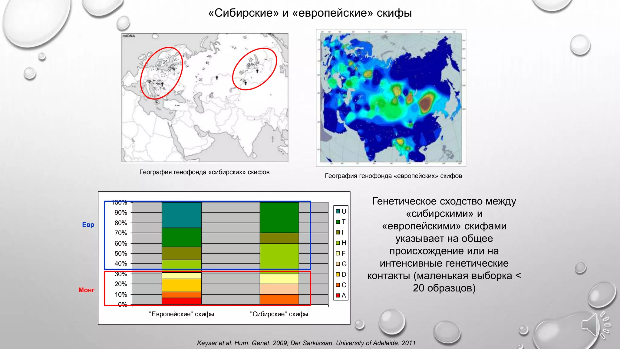 География генофонда «европейских» скифов
«Сибирские» и «европейские» скифы
География генофонда «сибирских» скифов
Keyser et al. Hum. Genet. 2009; Der Sarkissian. University of Adelaide. 2011
Евр
Монг
Генетическое сходство между
«сибирскими» и
«европейскими» скифами
указывает на общее
происхождение или на
интенсивные генетические
контакты (маленькая выборка <
20 образцов)
0%
10%
20%
30%
40%
50%
60%
70%
80%
90%
100%
"Европейские" скифы "Сибирские" скифы
U
T
I
H
F
G
D
C
A
 