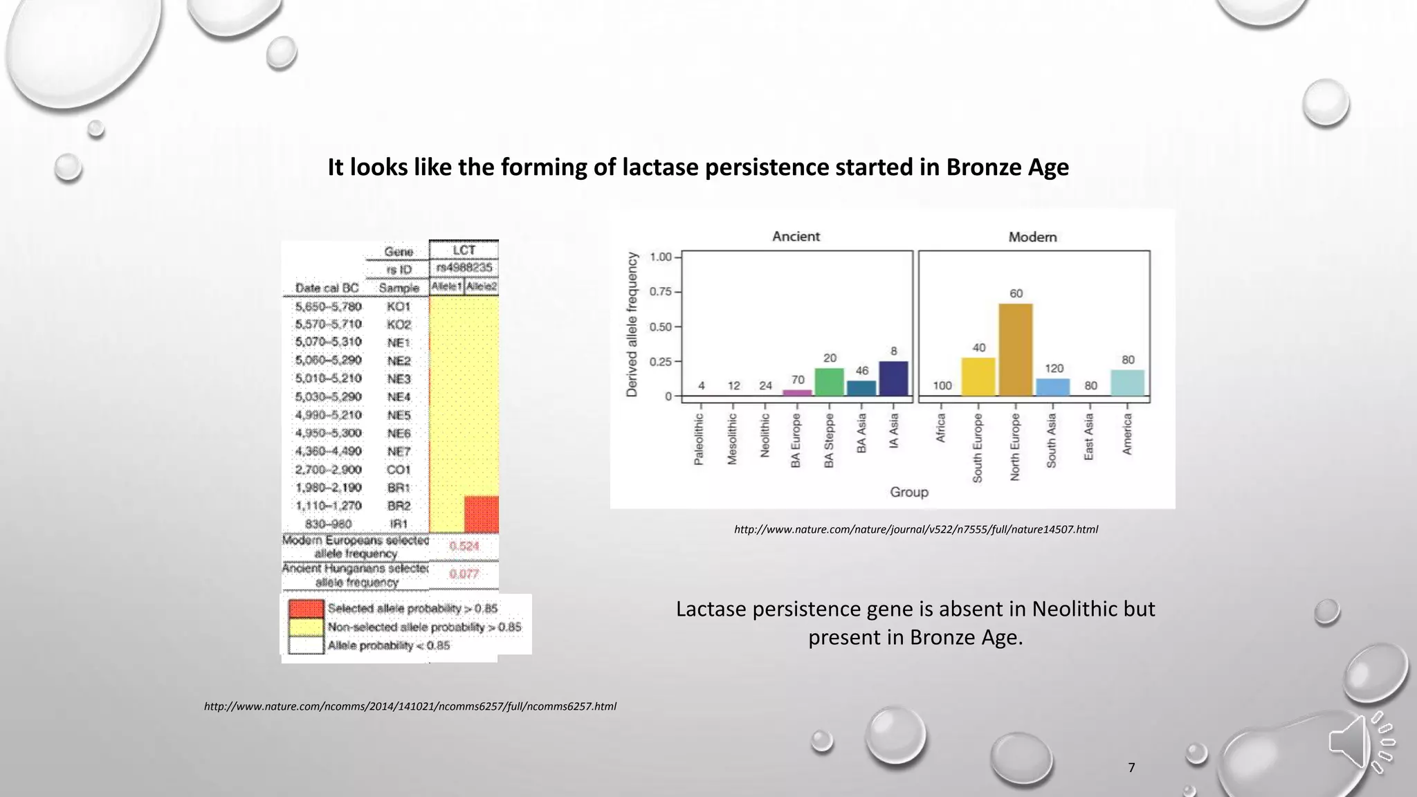 It looks like the forming of lactase persistence started in Bronze Age
http://www.nature.com/ncomms/2014/141021/ncomms6257/full/ncomms6257.html
Lactase persistence gene is absent in Neolithic but
present in Bronze Age.
7
http://www.nature.com/nature/journal/v522/n7555/full/nature14507.html
 