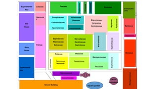 Agavacea
e
Palmae
LiliaceaeExperimental
Plot
Net
House
Store
House
Experimental
Plot
School Building Aquatic garden
Cacti &
Succulents
Poaceae
Pandanaeae
Moraceae
Aristolochia
ceae
Zingiberaceae
Cannaceae
Myrtaceae
Magnoliaceae
Moraceae
Menispermaceae
Gymnosperms
Casuarinaceae
Averrhoaceae
Papilionaceae
Mimosaceae
Caesalpiniaceae
Rutaceae Meliaceae
Euphorbiaceae
Menispermaceae
Rosaceae
Bignoniaceae
Compositae
Combretaceae
Myrtaceae
Punicaceae
Euphorbiaceae
Anacardiaceae
Casuarinaceae
Verbenaceae
Oleaceae
Boraginaceae
Convolvulaceae
Apocynaceae
Sapindaceae
Rhamnaceae
Malvaceae
Sterculiaceae
Nandinaceae
Sapindaceae
 