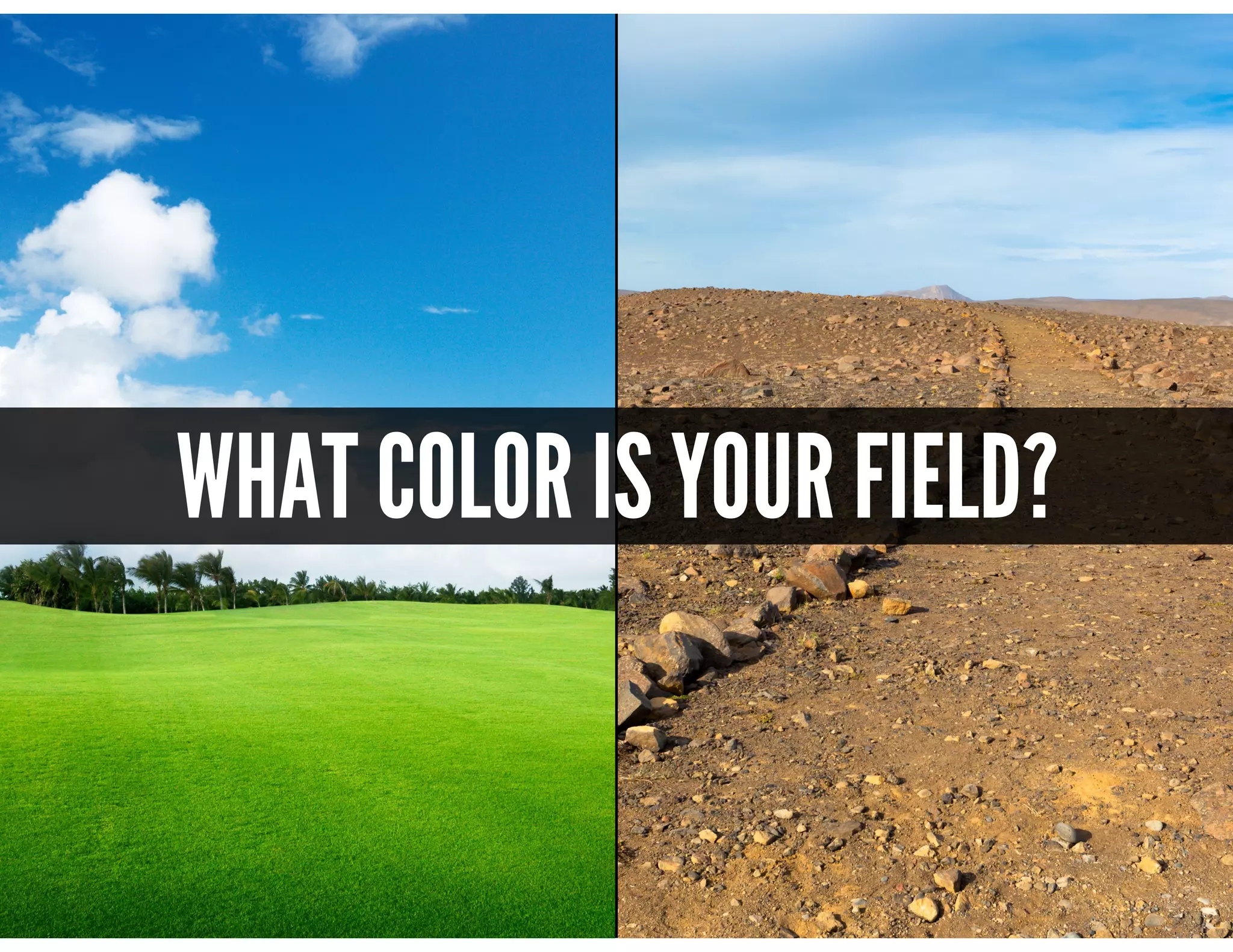 @mscottford
WHAT COLOR IS YOUR FIELD?
 