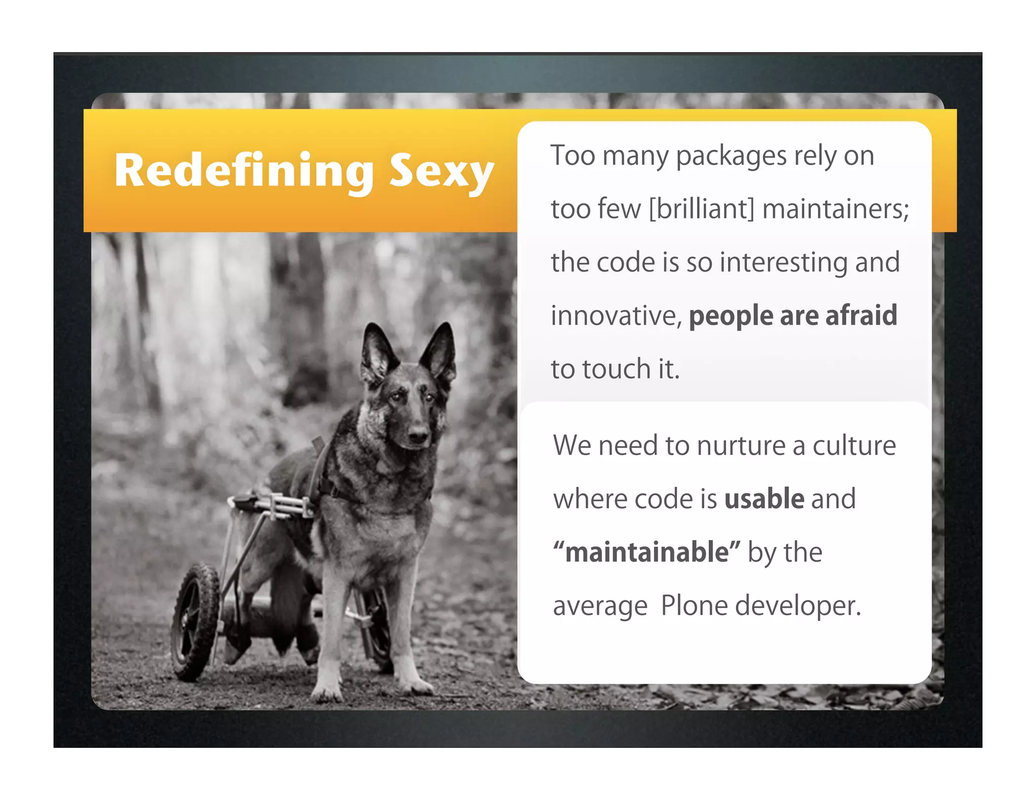 Redefining Sexy   Too many packages rely on

                  too few [brilliant] maintainers;
                  the code is so interesting and

                  innovative, people are afraid

                  to touch it.

                  We need to nurture a culture
                  where code is usable and
                   maintainable by the
                  average Plone developer.
 