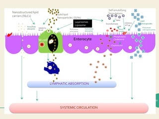 Lymph Absorption Oral lipid drug delivery system for poor water soluble drugs | PPTX