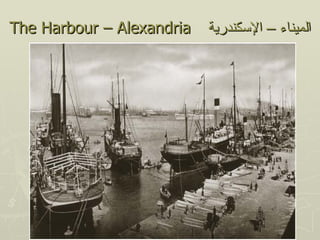 The Harbour – Alexandria   ‫الميناء – السكندرية‬
 
