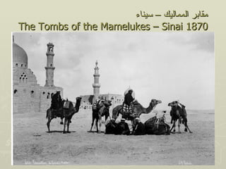 ‫مقابر المماليك – سيناء‬
The Tombs of the Mamelukes – Sinai 1870
 