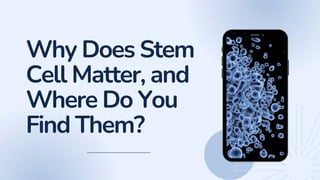 Why Does Stem
Cell Matter, and
Where Do You
Find Them?
 