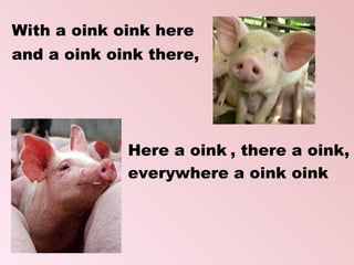 With a  oink oink  here  and a  oink oink  there, Here a  oink   , there a oink,  everywhere a oink oink 