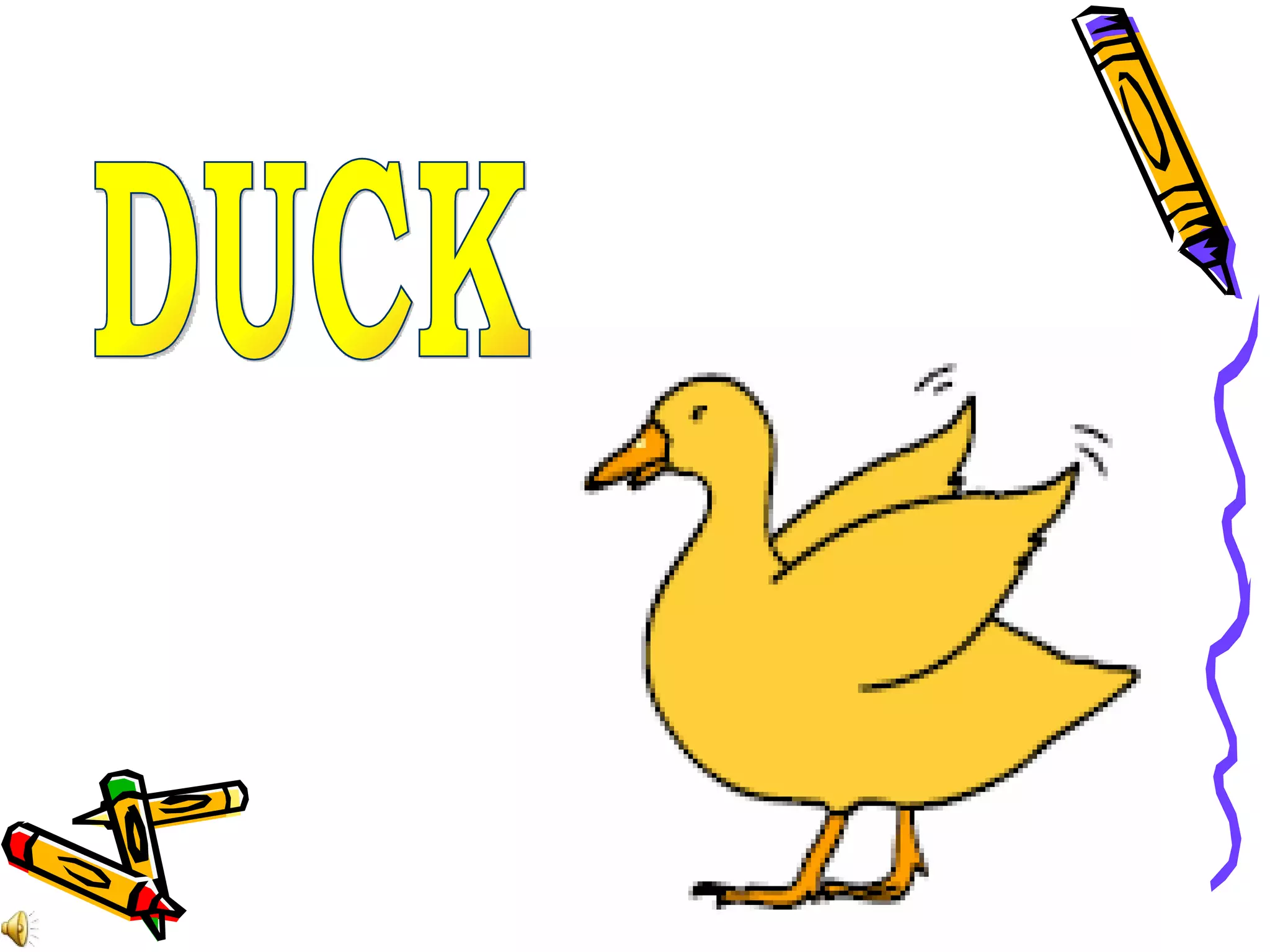 DUCK 
