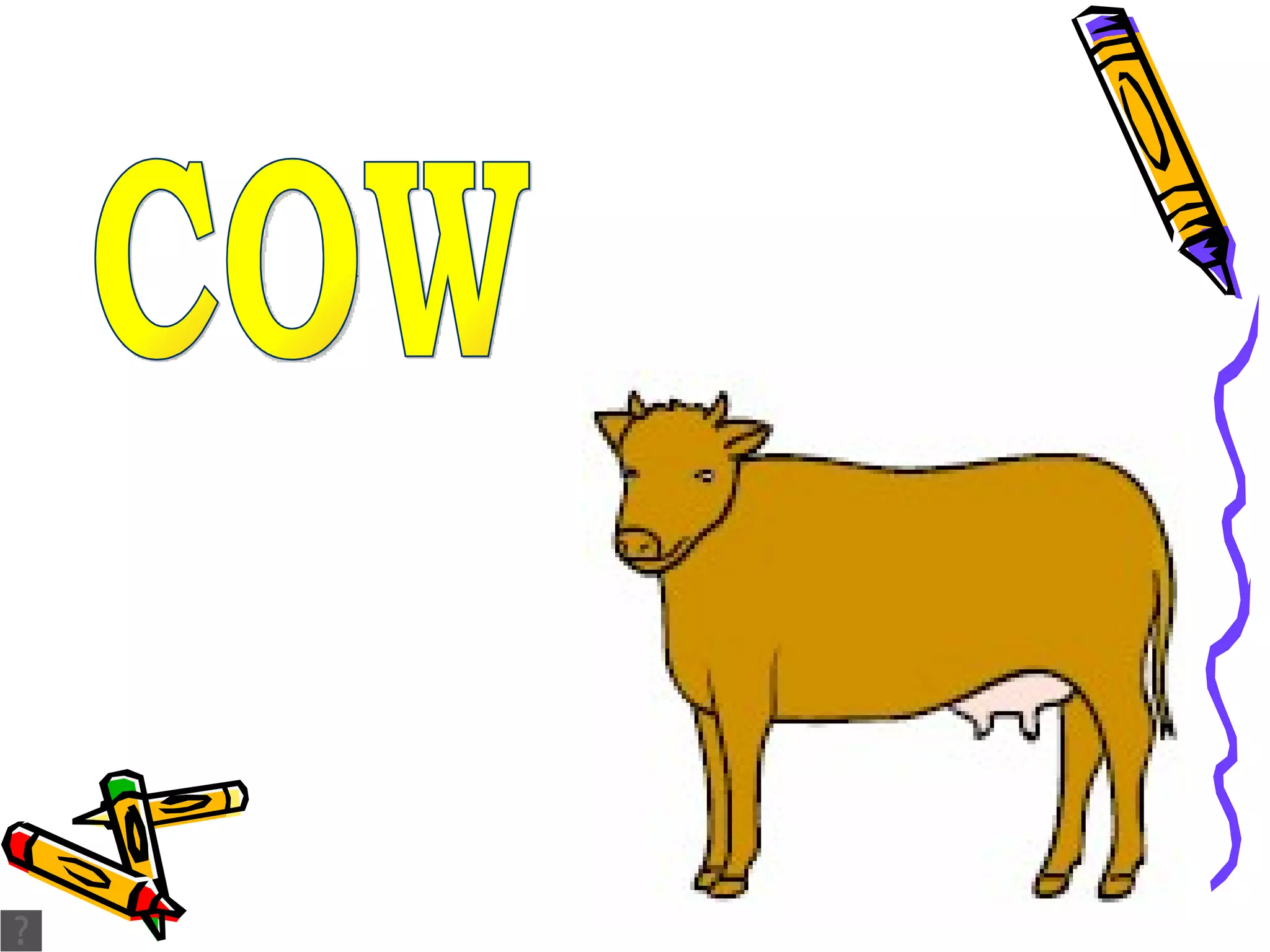 COW 