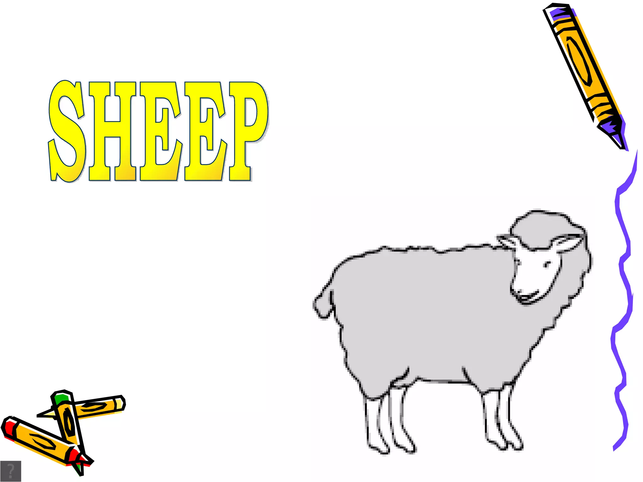SHEEP 