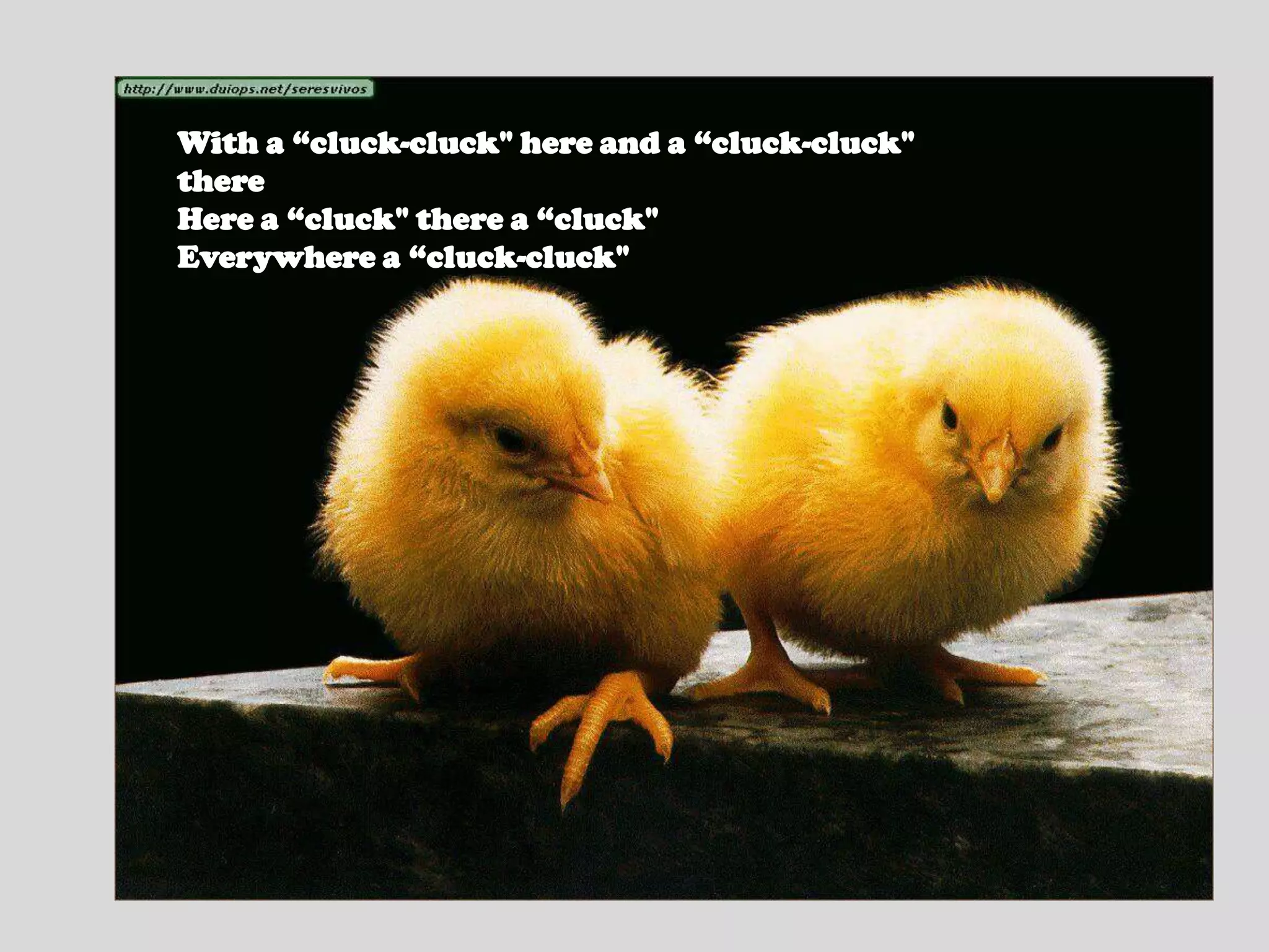 With a “cluck-cluck" here and a “cluck-cluck" thereHere a “cluck" there a “cluck"Everywhere a “cluck-cluck"