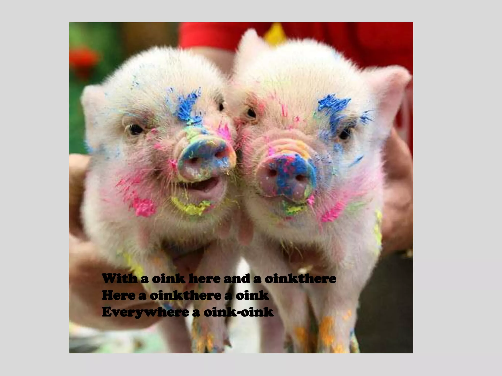 With a oink here and a oinkthereHere a oinkthere a oinkEverywhere a oink-oink