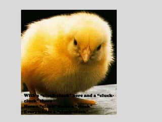 With a “cluck-cluck" here and a “cluck-cluck" thereHere a “cluck" there a “cluck"Everywhere a “cluck-cluck"