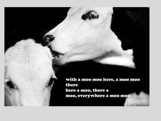 with a moo moo here, a moo moo therehere a moo, there a moo, everywhere a moo moo