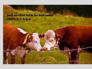 and on that farm he had some cows, e, i, e, i, o