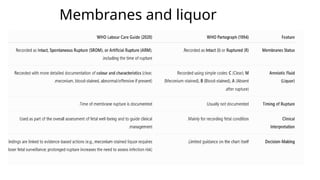 Membranes and liquor
 