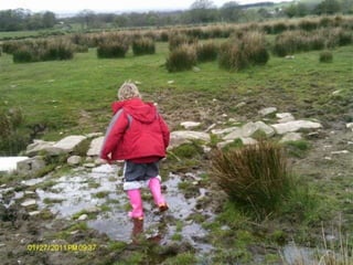 Old photos for 20th sept 2