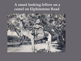 A smart looking fellow on a camel on Elphinstone Road.