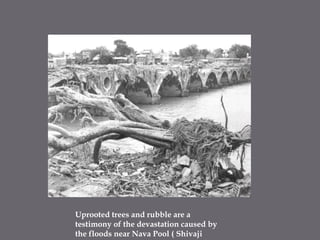 Uprooted trees and rubble are a testimony of the devastation caused by the floods near Nava Pool ( Shivaji  Bridge- near PMC)