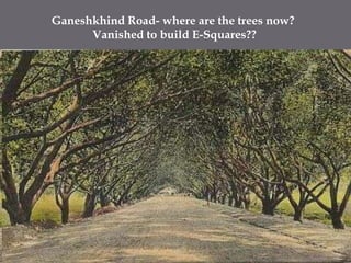 Ganeshkhind Road- where are the trees now? Vanished to build E-Squares??