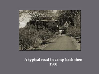 A typical road in camp back then 1900