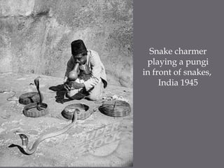 Snake charmer playing a pungiin front of snakes, India 1945
