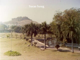 Sarasbaug