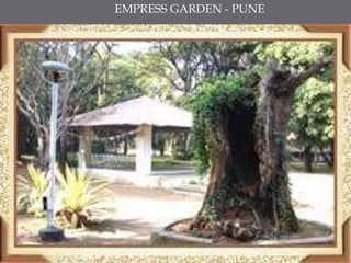 EMPRESS GARDEN - PUNE