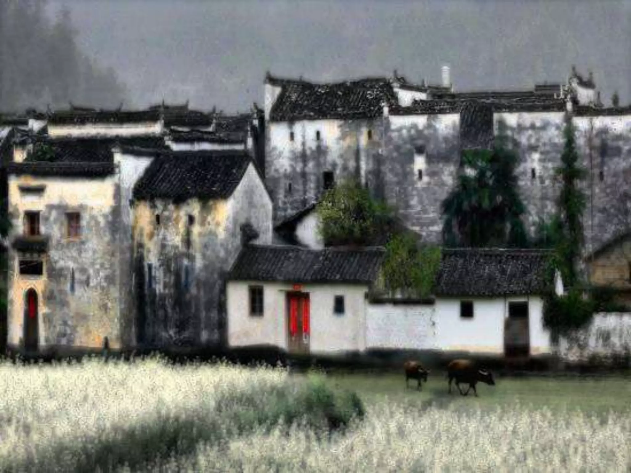 Old Shanghai- Photographer Rui Yuan