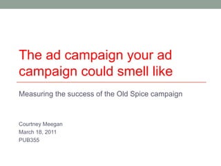 The ad campaign your ad campaign could smell like Measuring the success of the Old Spice campaign Courtney Meegan March 18, 2011 PUB355 