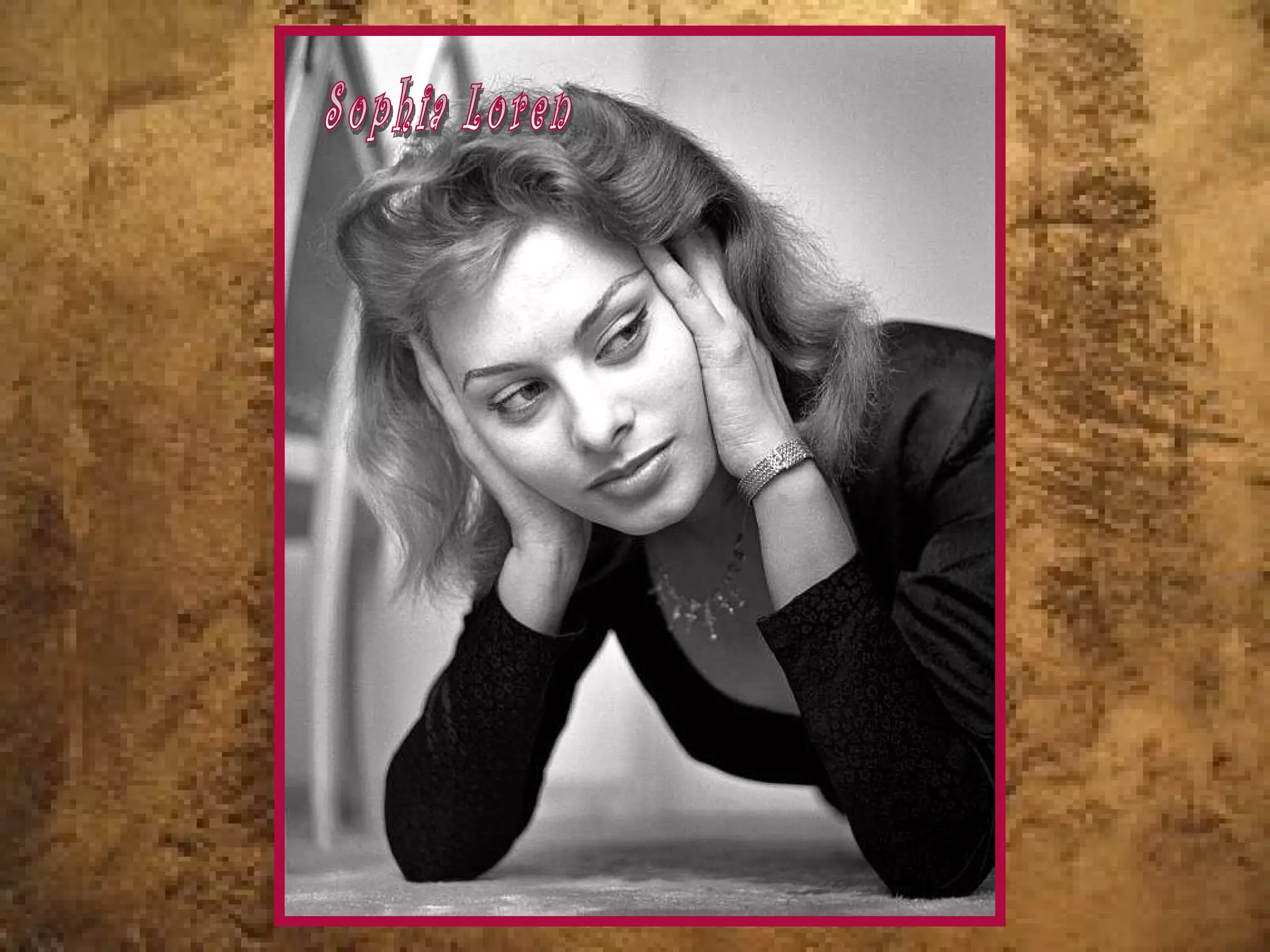 Sophia Loren 
