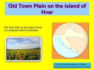 The Old Town Plain location in Croatia
Old Town Plain on the island of Hvar
is a protected cultural landscape.
Old Town Plain on the island ofOld Town Plain on the island of
HvarHvar
 