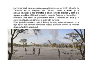 La Humanidad nació en África concretamente en un rincón al norte de
Tanzania; en la Garganta de Olduvai, donde el clima y el
paisaje invitaron a los primates a bajarse de los árboles y salir a la
sabana erguidos, Ollduvail, conocido como La Cuna de la Humanidad,
concentra una serie de yacimientos entre 2 millones de años y el
presente, claves para conocer la evolución humana.
Otros yacimientos como Laetoli, Peninj, Isimila y varios otros en torno al
lago Eyasi nos permiten completar nuestra evolución desde 3,6 millones
de años hasta la actualidad.

 