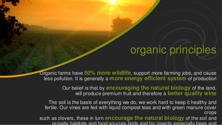 Beautiful Vineyard Powerpoint Presentation