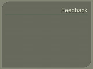 Old yellowmeetinghouse