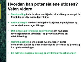 Ole Jonny Kalstad: Landsbykonferansen 2016
