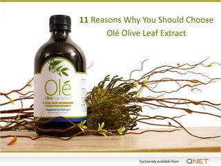 11 Reasons Why You Should Choose
       Olé Olive Leaf Extract
 