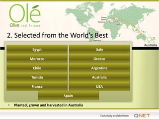2. Selected from the World’s Best
              Egypt                               Italy

             Morocco                             Greece

               Chile                            Argentina

              Tunisia                           Australia

              France                              USA

                                 Spain

•   Planted, grown and harvested in Australia
 