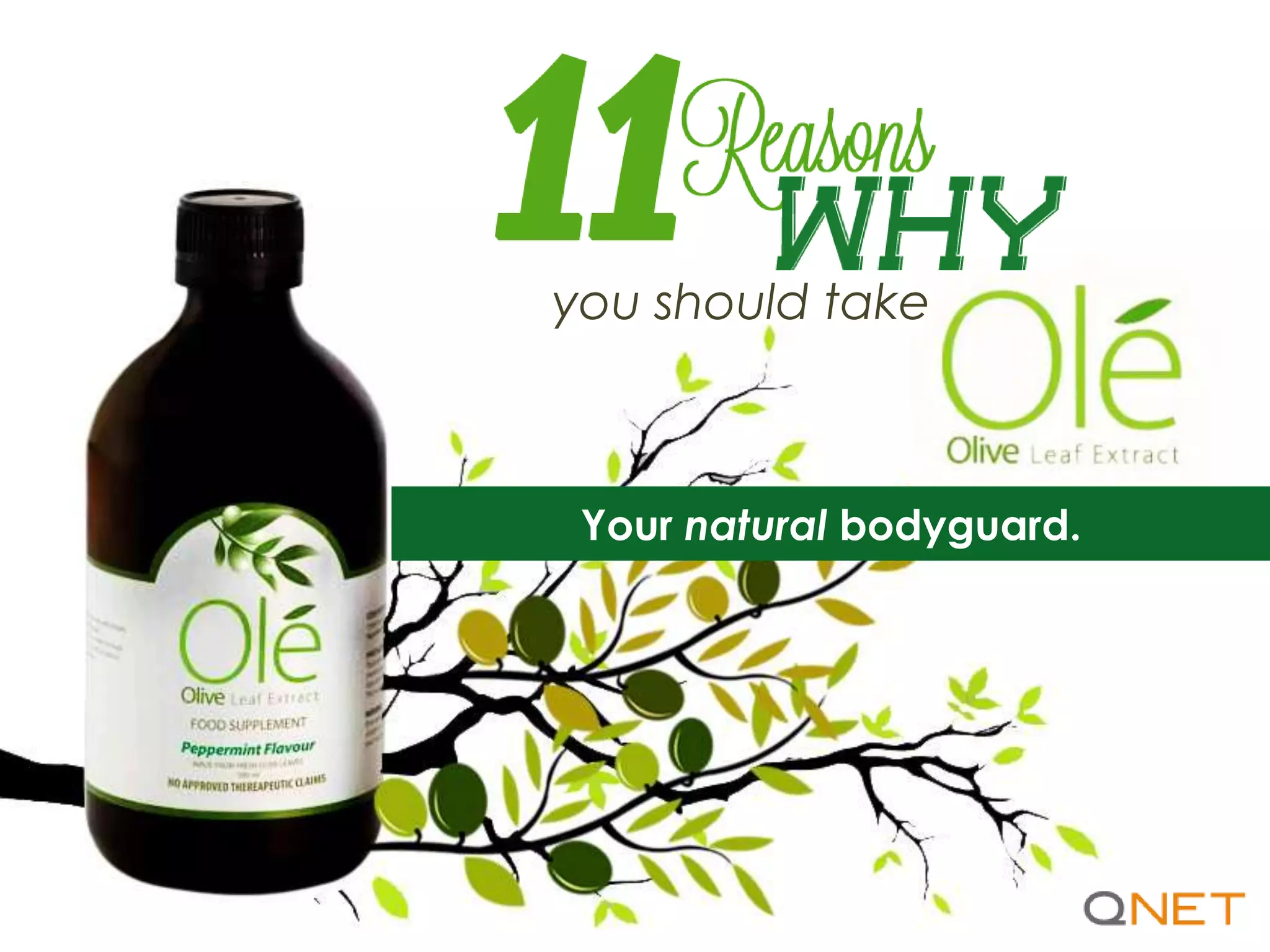 11 Reasons to Take Ole Olive Leaf Extract by PPT