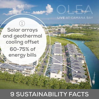 Solar arrays
and geothermal
cooling offset
60-75% of
energy bills
9 SUSTAINABILITY FACTS
1
 