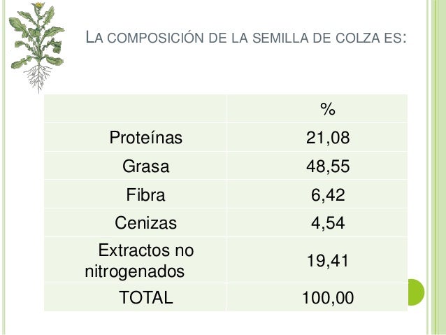 Oleaginosas en Argentina