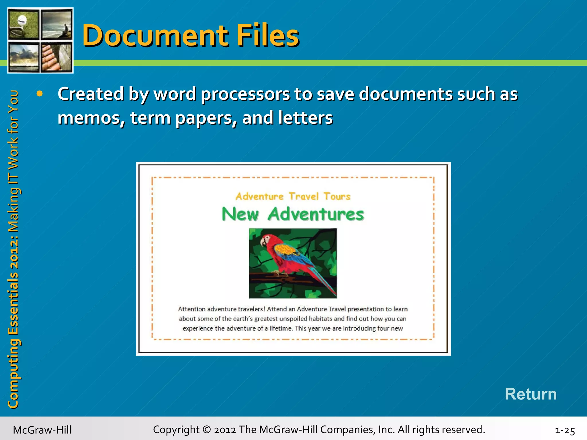 Document Files Created by word processors to save documents such as memos, term papers, and letters Return 