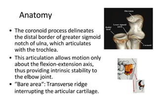 Anatomy
• The coronoid process delineates
the distal border of greater sigmoid
notch of ulna, which articulates
with the trochlea.
• This articulation allows motion only
about the flexion-extension axis,
thus providing intrinsic stability to
the elbow joint.
• “Bare area“: Transverse ridge
interrupting the articular cartilage.
 