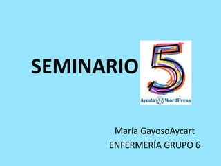 SEMINARIO V
María GayosoAycart
ENFERMERÍA GRUPO 6
 