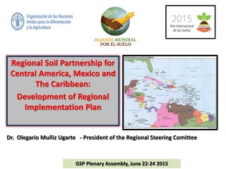 Regional Soil Partnership for
Central America, Mexico and
The Caribbean:
Development of Regional
Implementation Plan
Dr. Olegario Muñiz Ugarte - President of the Regional Steering Comittee
GSP Plenary Assembly, June 22-24 2015
 