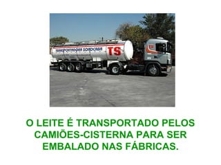 O LEITE É TRANSPORTADO PELOS
CAMIÕES-CISTERNA PARA SER
EMBALADO NAS FÁBRICAS.
 